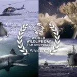 Flora e Fauna: World Wildlife Day 2019