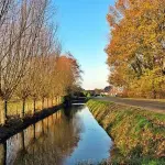 La pulizia dei fossi, un importante atto di prevenzione ambientale