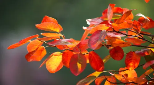 Il 5x1000 WWF: Un regalo per il nostro futuro