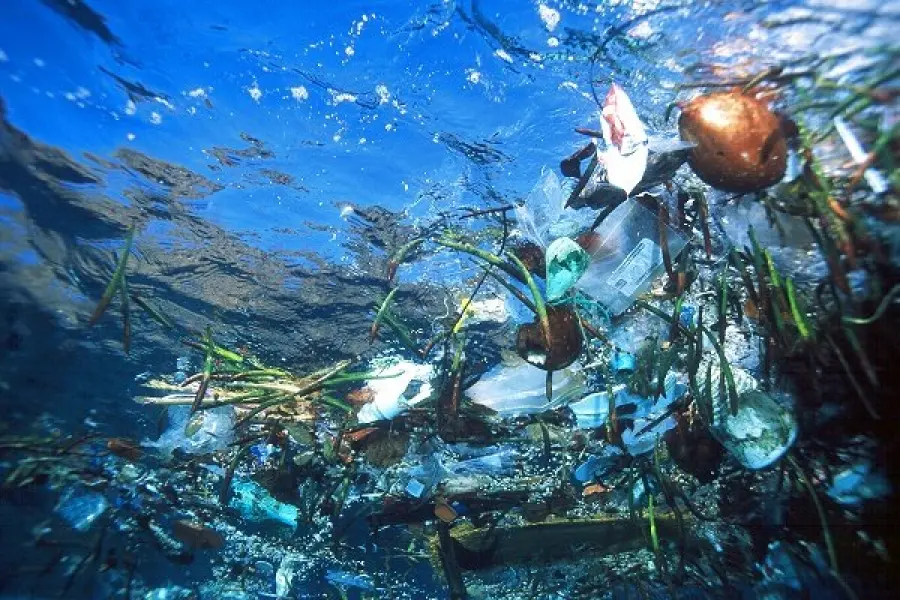 La tragedia del "mare di plastica"