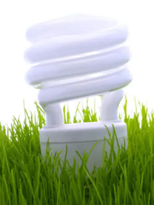 Quali sono i fornitori di energia elettrica da fonte rinnovabile?