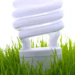 Quali sono i fornitori di energia elettrica da fonte rinnovabile?