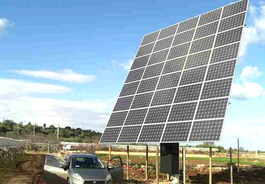 Importantissima esperienza a Mola nell'integrazione tra fotovoltaico e agricoltura