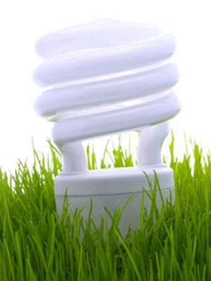 Quali sono i fornitori di energia elettrica da fonte rinnovabile?