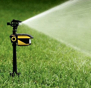 Uno spaventapasseri ecologico