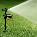 Uno spaventapasseri ecologico