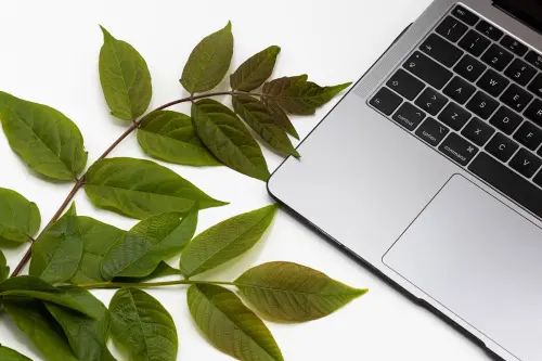 L’impatto ambientale di internet: in che modo rendere il web sostenibile