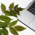 L’impatto ambientale di internet: in che modo rendere il web sostenibile