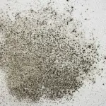 Muffa sulle pareti, cause e rimedi