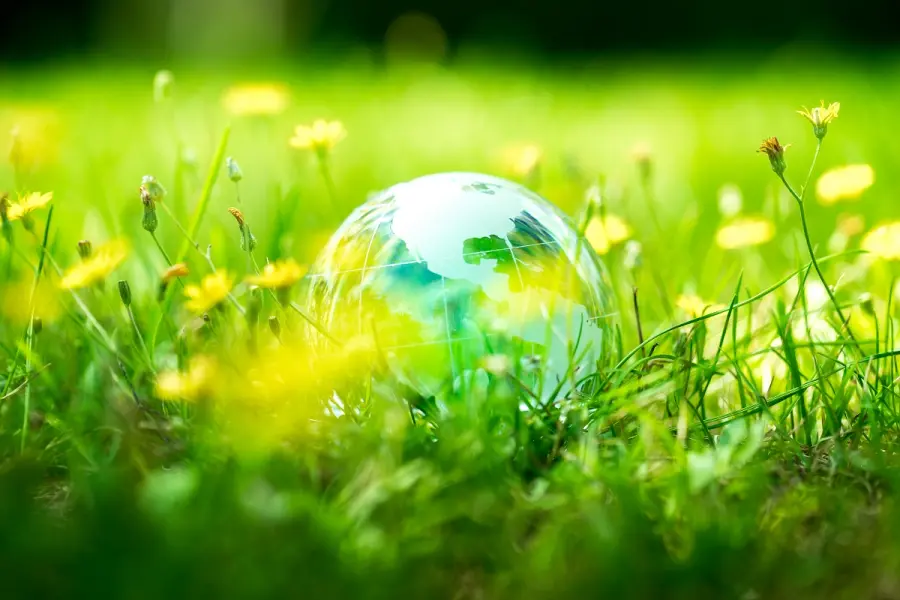 Tecniche di riciclo creativo per la salvaguardia ambientale